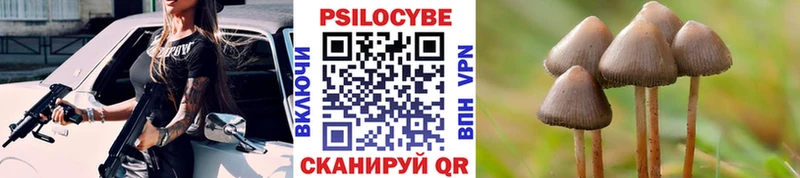 купить наркотики цена  Краснообск  Псилоцибиновые грибы Magic Shrooms 